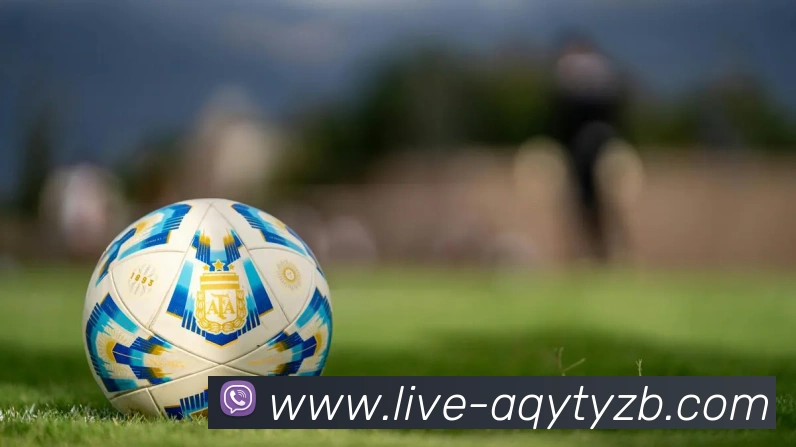 爱奇艺体育直播平台生态图