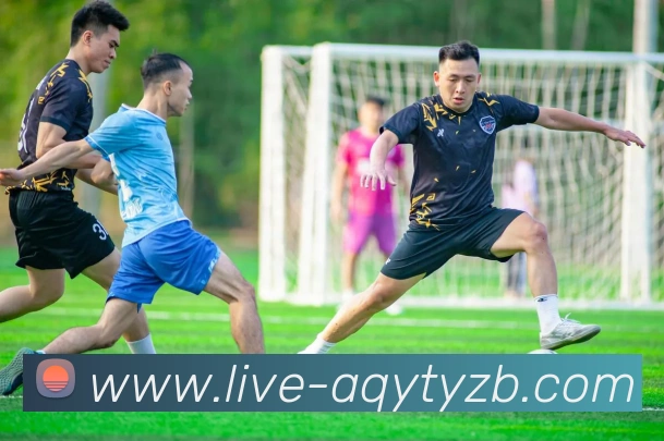 爱奇艺体育直播全站App